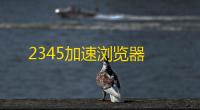 2345加速浏览器